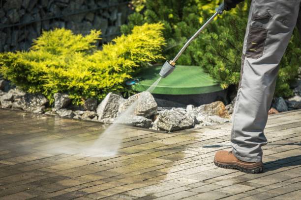 Best Fence Cleaning  in Amelia, LA