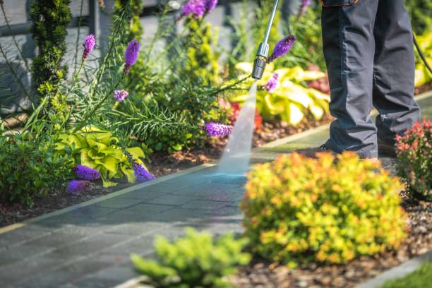 Best Driveway Pressure Washing  in Amelia, LA